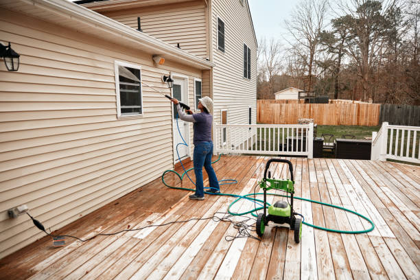 Best Affordable Power Washing  in Dryden, MI