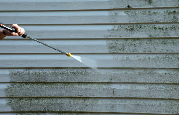 Best Best Pressure Washing Companies  in Dryden, MI