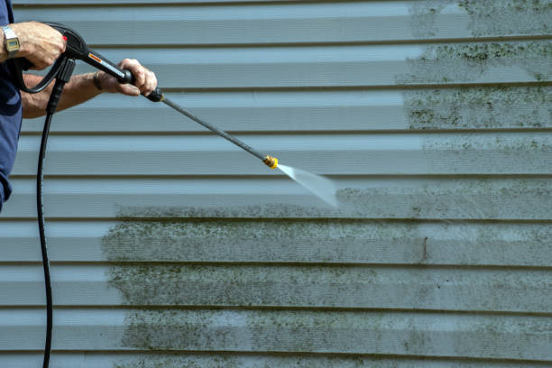 Best Pressure Washing Patio  in Dryden, MI