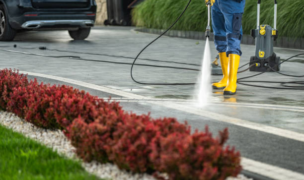 Best Affordable Pressure Washing  in Dryden, MI