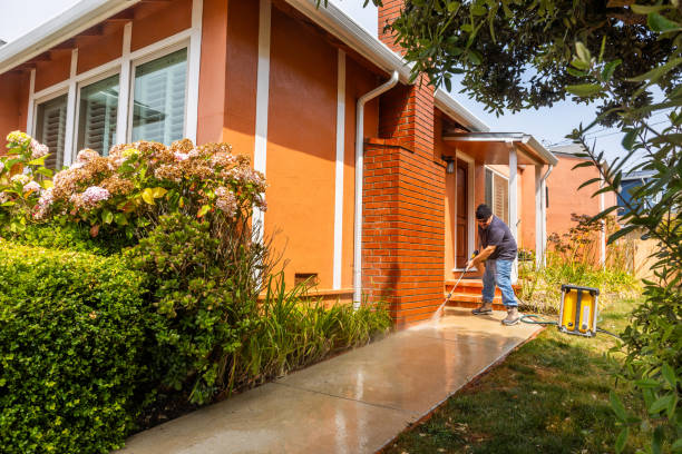 Best House Pressure Washing  in Dryden, MI