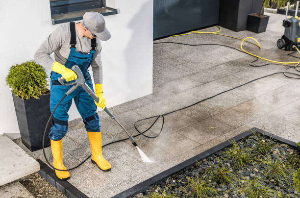 Best Roof Pressure Washing  in Dryden, MI