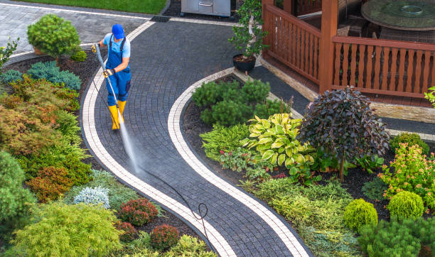 Best Concrete Pressure Washing  in Dryden, MI