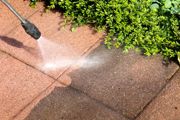 Best Pressure Washing Company Near Me  in Dryden, MI
