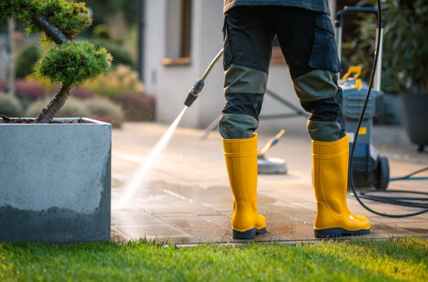 Best Deck Pressure Washing  in Dryden, MI